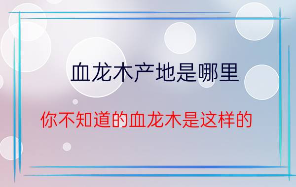 血龙木产地是哪里 你不知道的血龙木是这样的